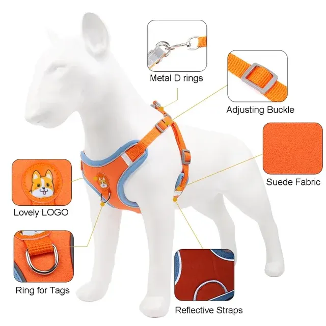 Hundegeschirr 2