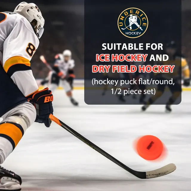 Hockey-Puck 4