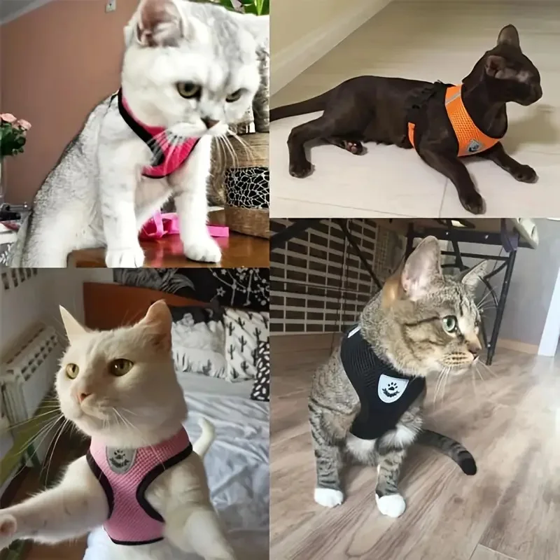 Atmungsaktives Netzgeschirr für kleine Hunde 2