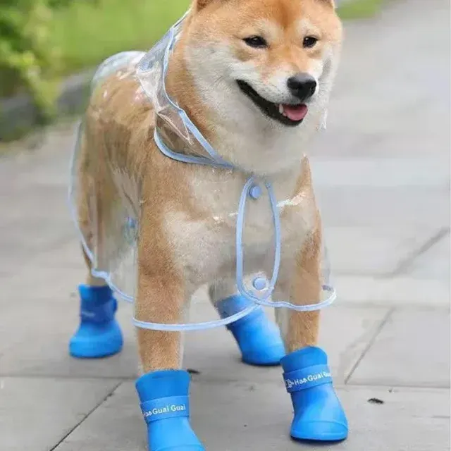Hunde-Regenmantel 4