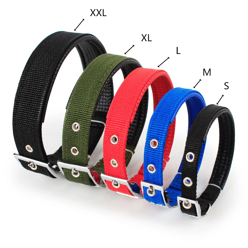 Solides Nylon-Halsband für Pitbulls und Beagles 4