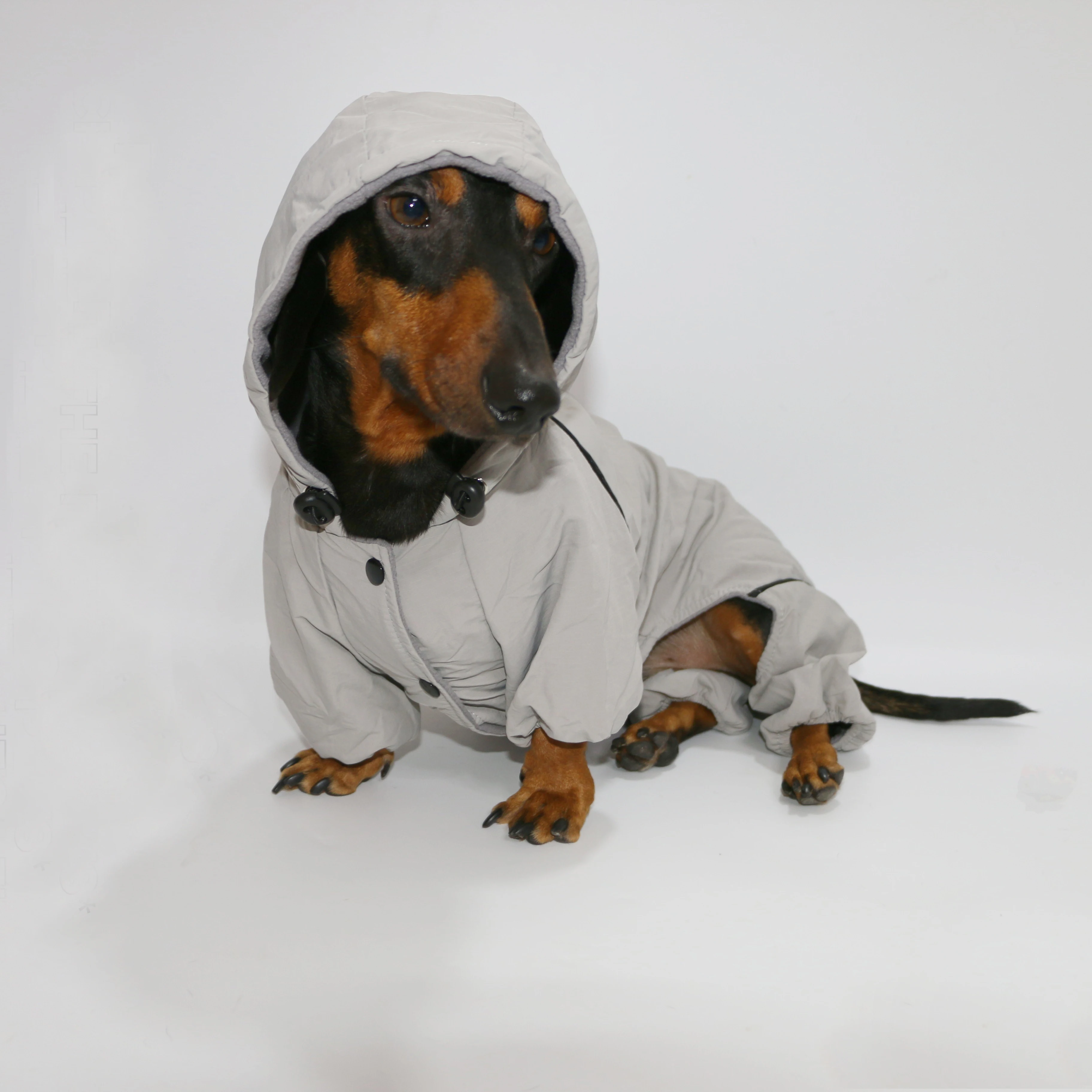 Hunde-Kapuzenjacke 3