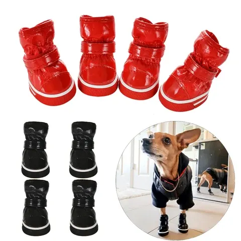 Hundeschuhe