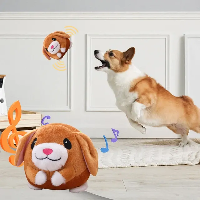 interaktives Hundespielzeug 3