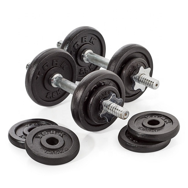 Gusseisen-Hantel-Set 100 lb verstellbar 2