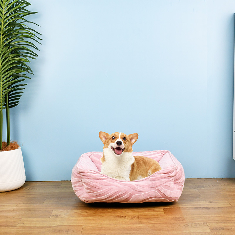 Beruhigendes Hundebett