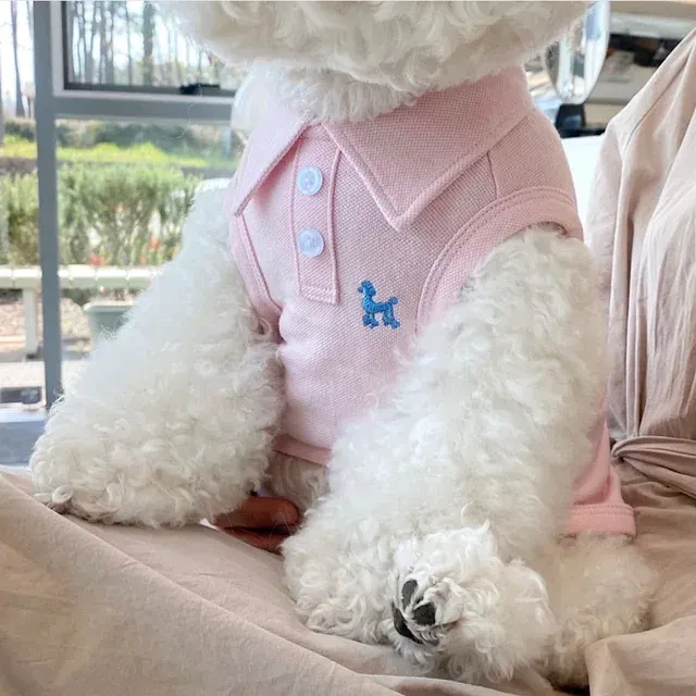 Hundeshirt 4
