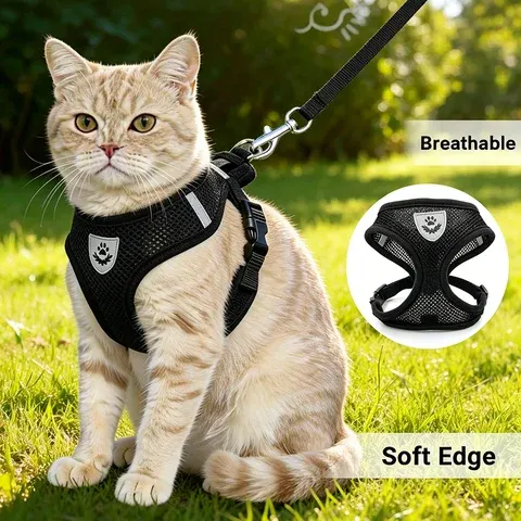 Hundegeschirr-Set