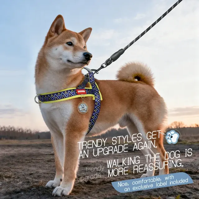 Hundegeschirr 2