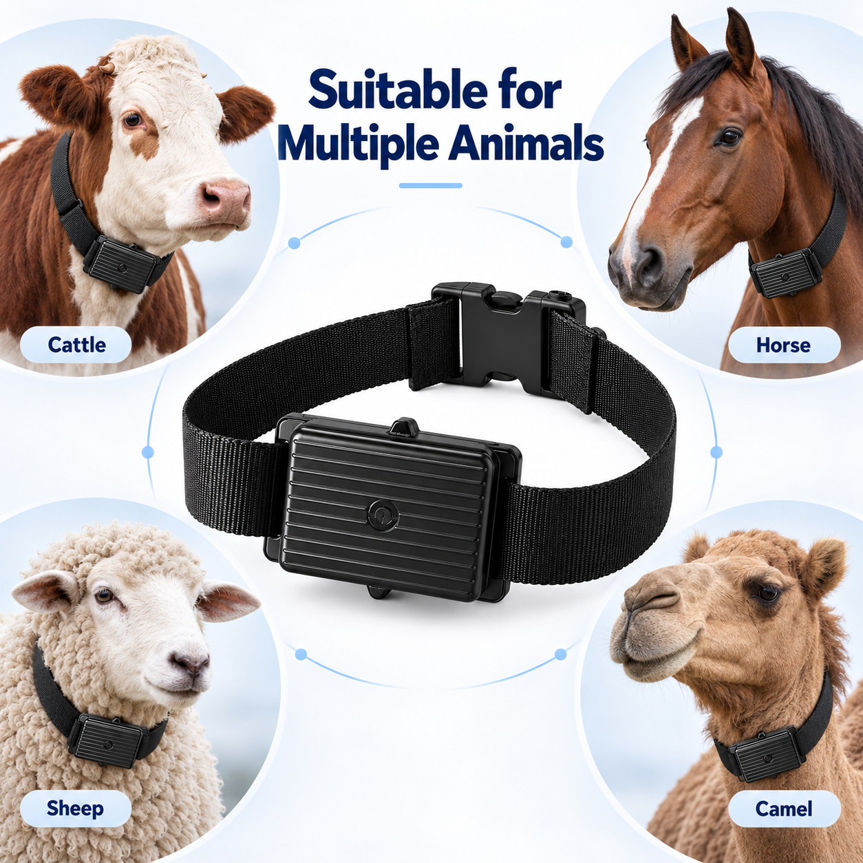IP67-GPS-Tracker für Nutztiere 4