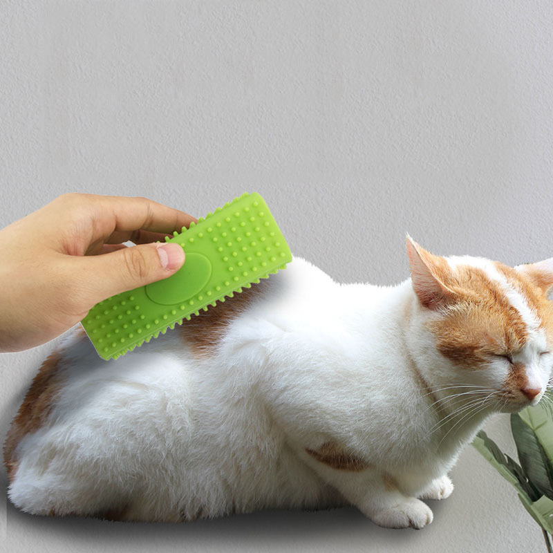 Silikon-Tierhaarbürste für Teppich und Sofa 2