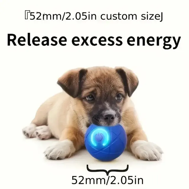Hundespielzeug Ball 4