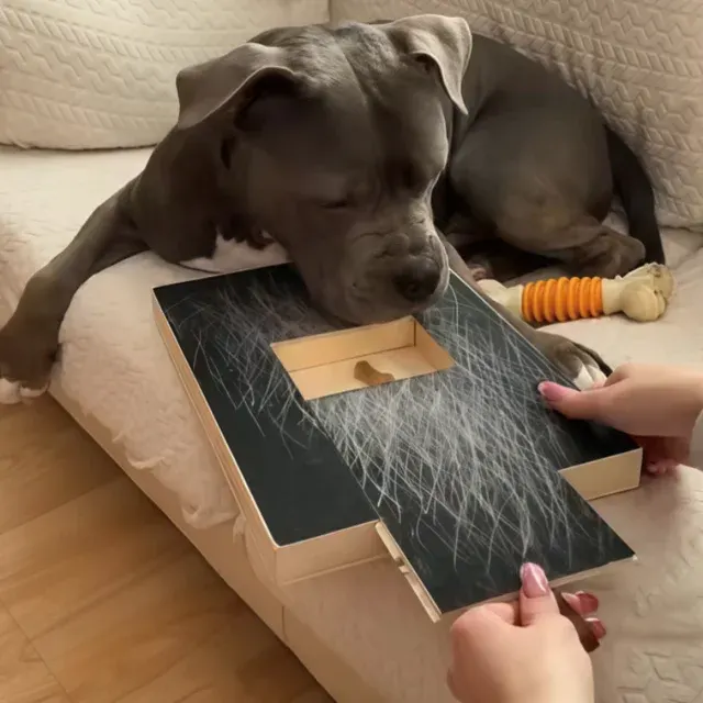 Kratzbrett für Hunde 4