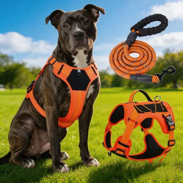 Taktisches Hundegeschirr 1