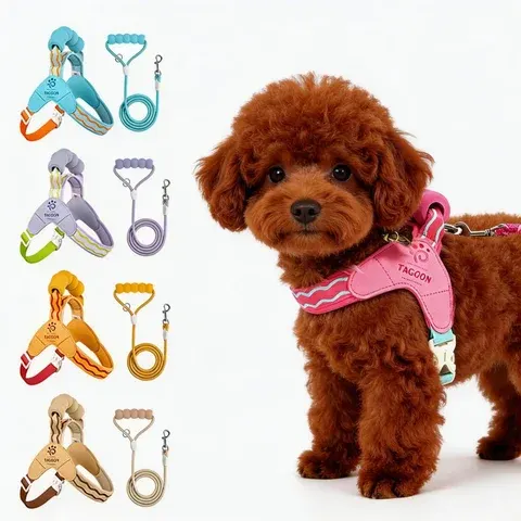 Hundegeschirr-Set