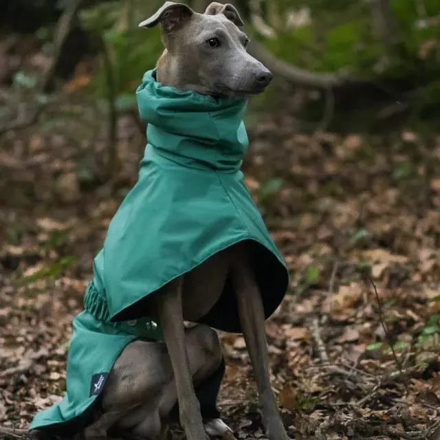 Hunde-Regenmantel 2