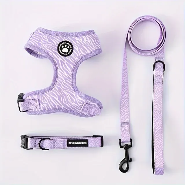 Hundegeschirr-Set 2