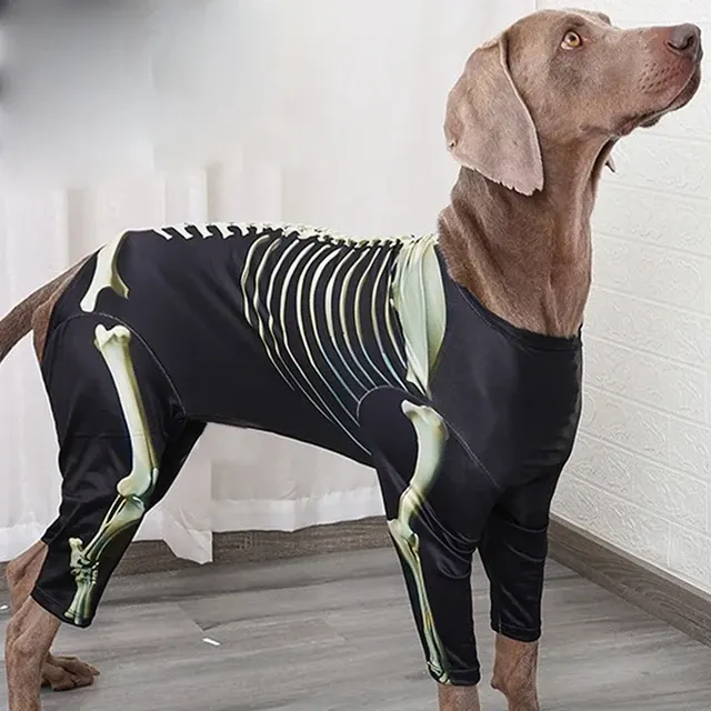 Hunde-Skelett-Kostüm 3