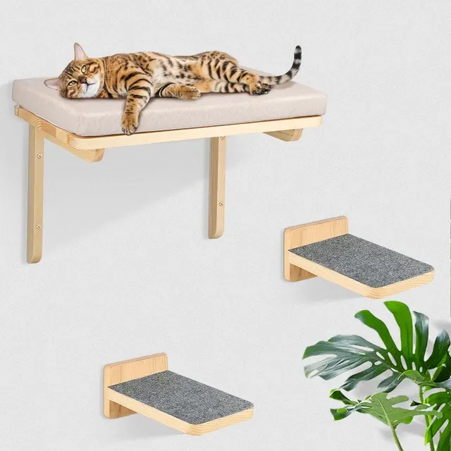 Katzen-Kletterwand 2