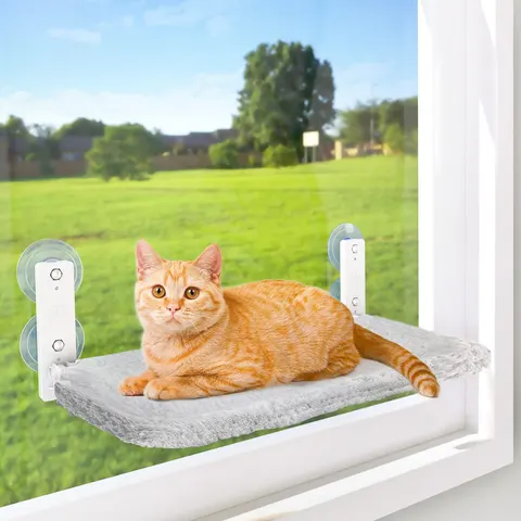 Katzen-Fensterliege