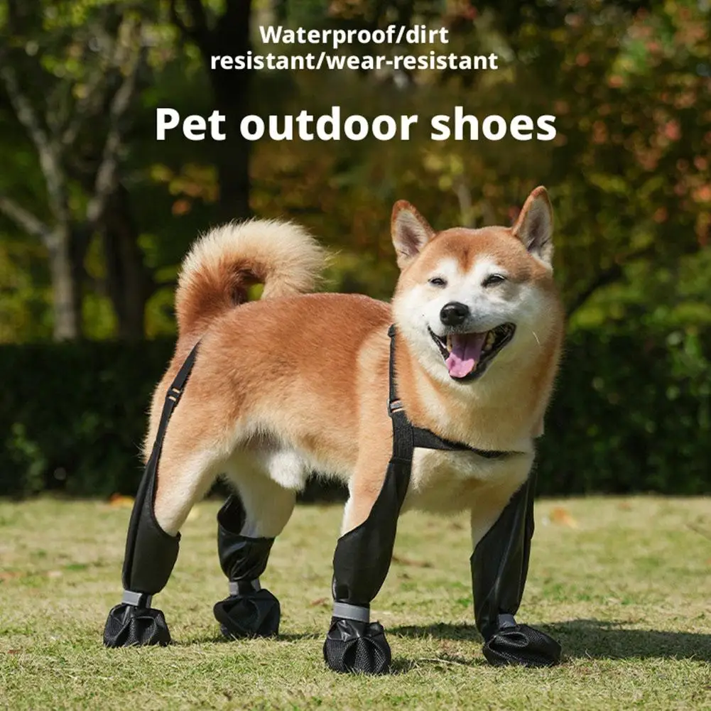 Hunde-Regenstiefel 4