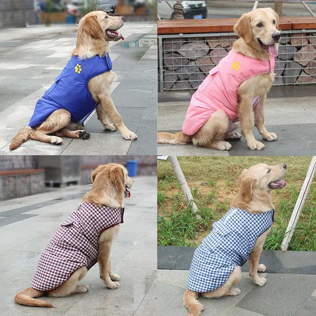 Hundewinterjacke 2