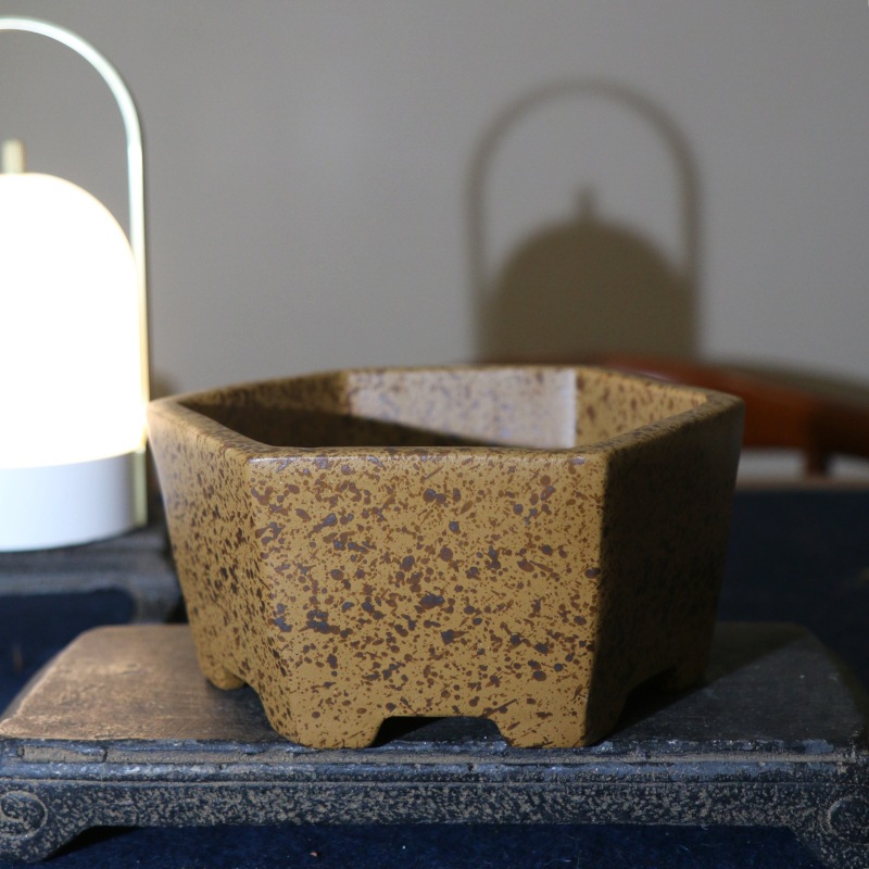 Bonsai-Topf 2