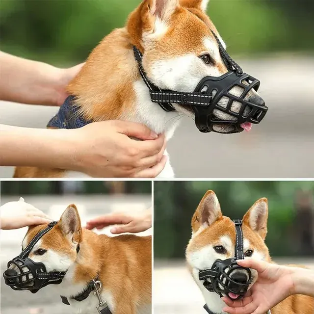 Hundemaulkorb 3
