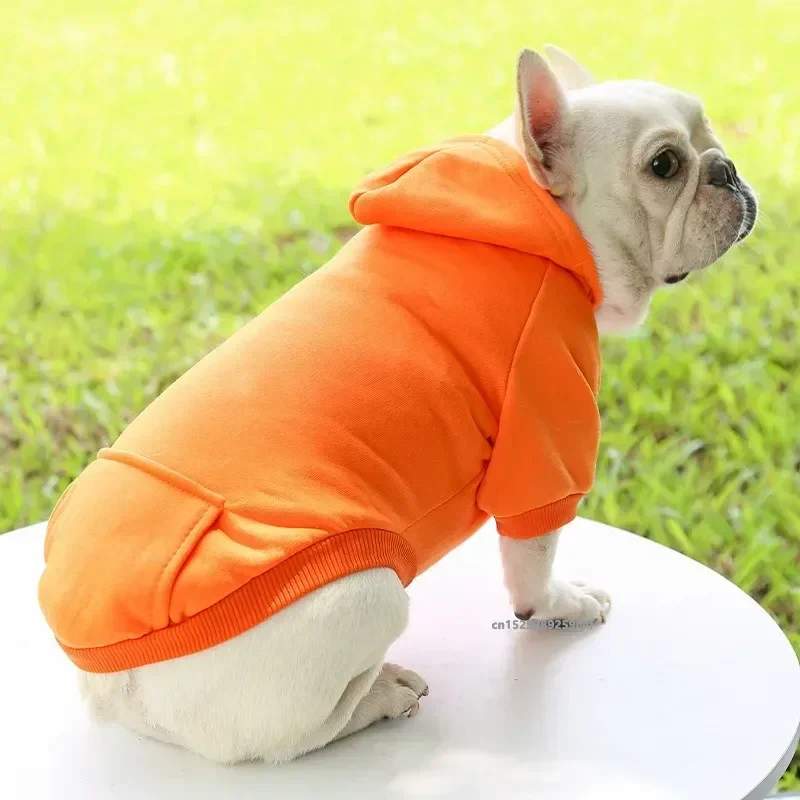 Katzenpullover mit Kapuze 4