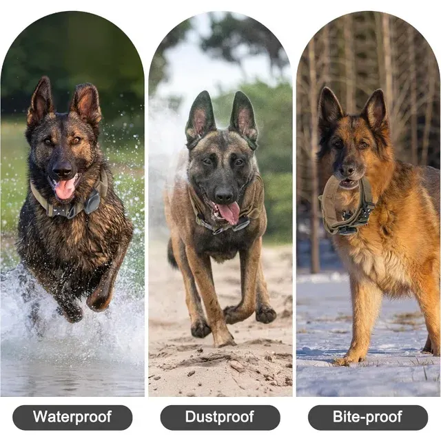 Taktisches Hundehalsband 4