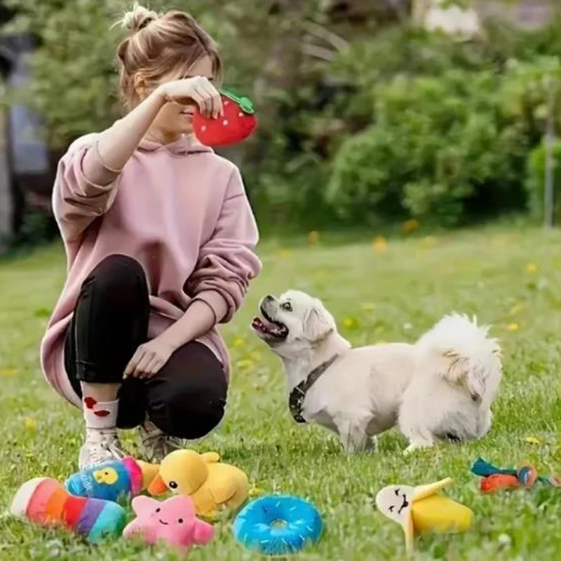 Hunde-Plüschspielzeug-Set 4