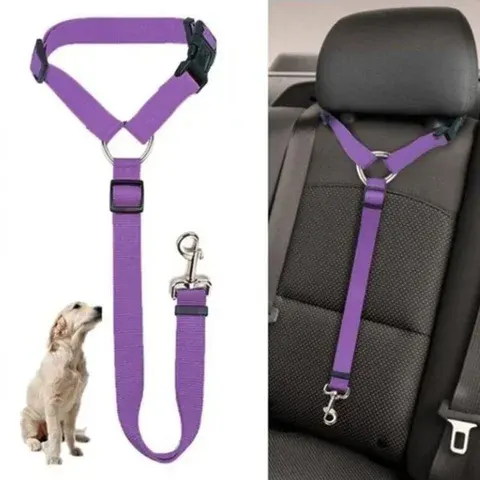 Hunde-Autogurt