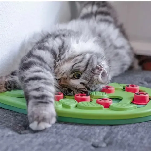 Katzen-Futterpuzzle 4