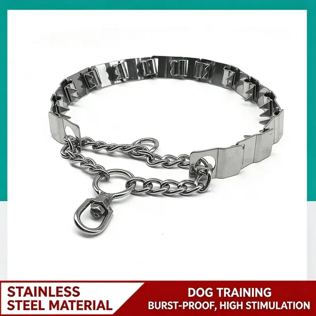Hunde-Trainingskettenhalsband 2