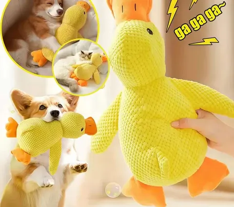 Plüsch-Enten-Hundespielzeug