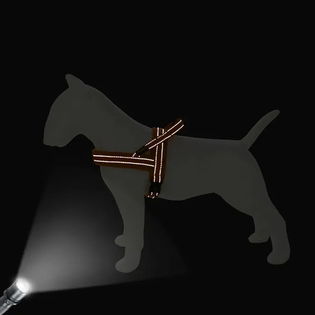 Mesh-Hundegeschirr 4
