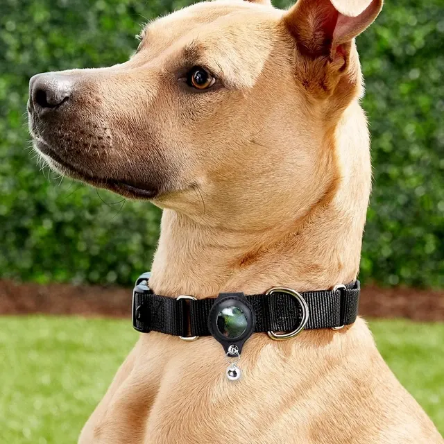 AirTag-Halsband für Haustiere 2
