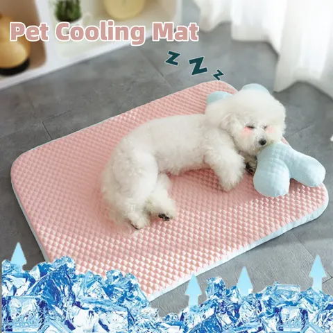 Kühlendes Hundebett