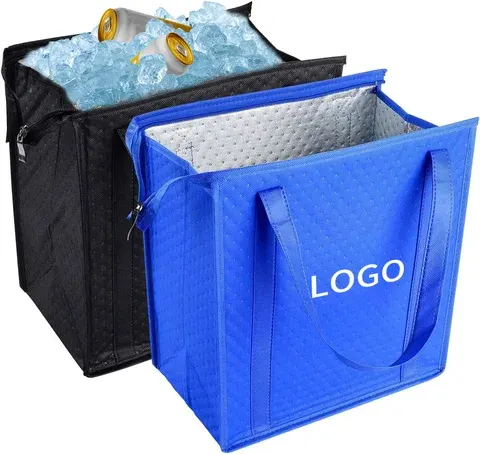 Isolierte faltbare Lunch-Kühltasche