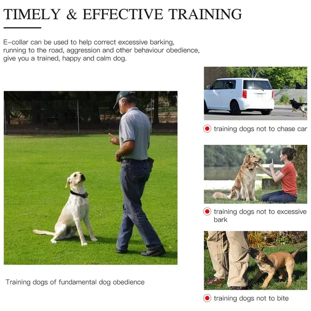Hunde-Trainingshalsband 4
