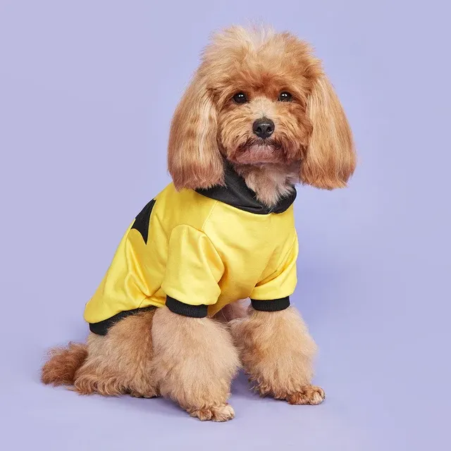 Hunde-Halloween-Kostüm 3