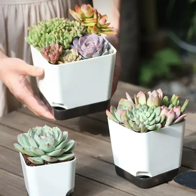 Selbstbewässernder Blumentopf 2