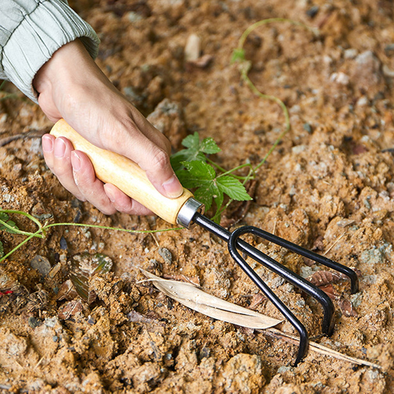 Faltbares Gartenwerkzeug-Set mit Tragetasche 3