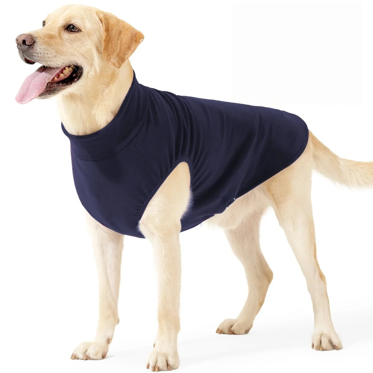Hundepullover 4