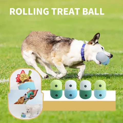 Hundespielzeug-Ball