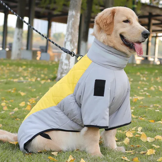 Hunde-Overall 4