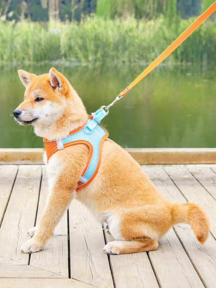 Reflektierendes atmungsaktives Hundegeschirr 4