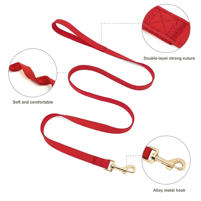 Personalisiertes Lederhundegeschirr-Set 3