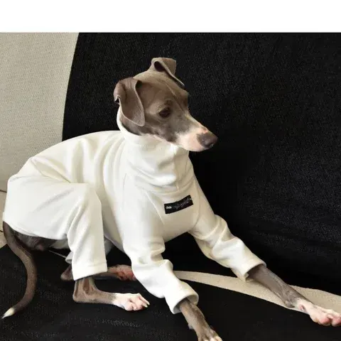 Hundepullover