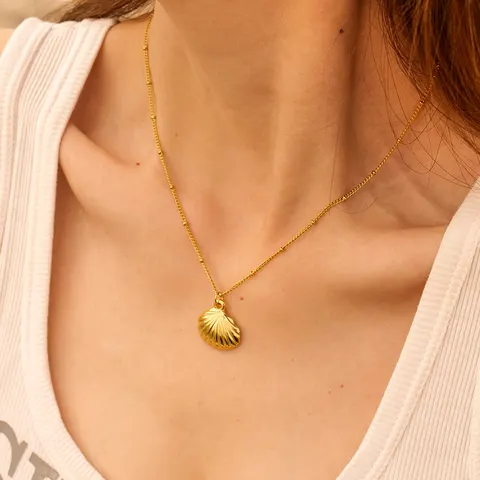 Muschelkette